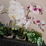 Διαμέρισμα Valentinis 74 Monfalcone