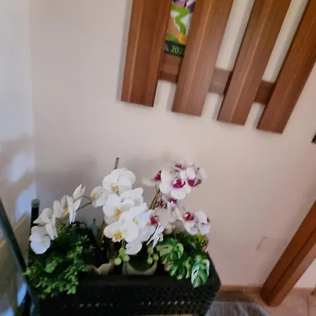 Valentinis 74 아파트 몬팔코네